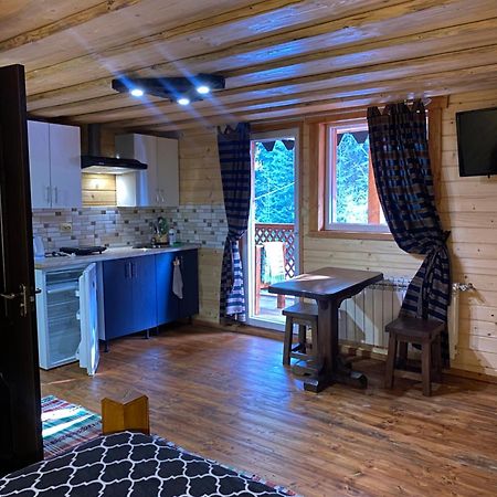 Номер 6 Садиба У Ані Synevyrsʼka Polyana Extérieur photo