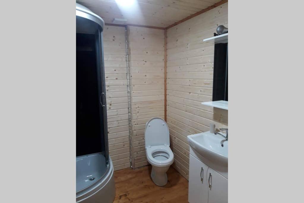Номер 6 Садиба У Ані Synevyrsʼka Polyana Extérieur photo
